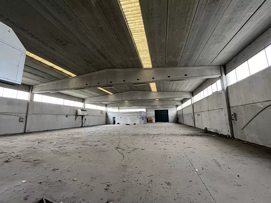 Immagine 28 di Capannone industriale in vendita  in Strada Provinciale 99 2 a Pancarana