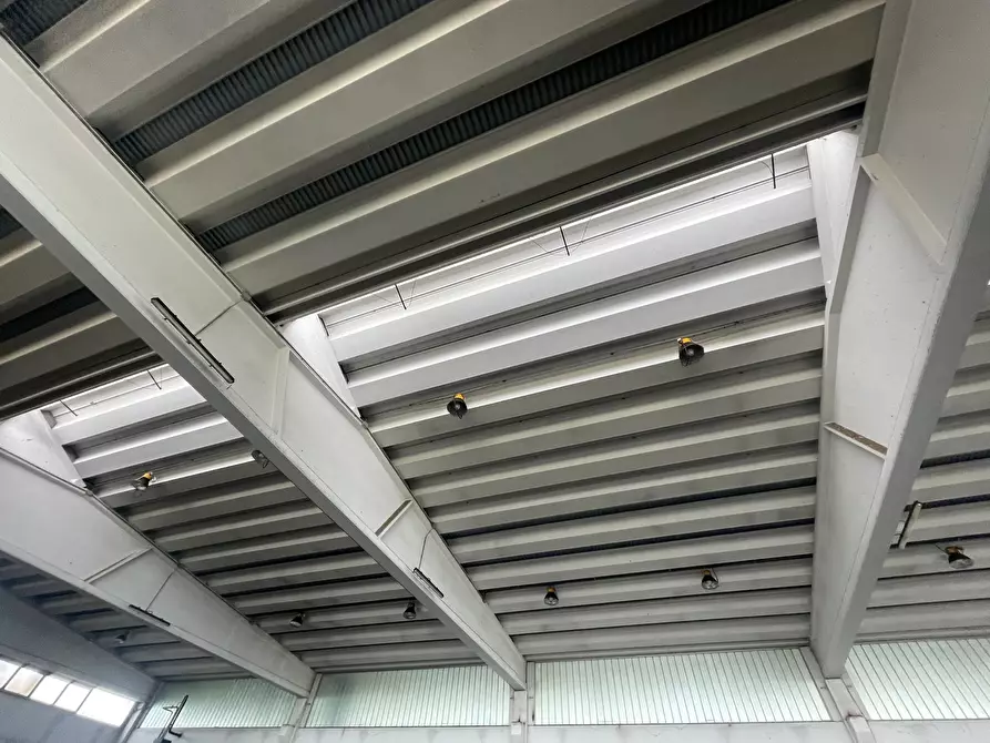 Immagine 24 di Capannone industriale in vendita  in Via Po 2 a Codogno