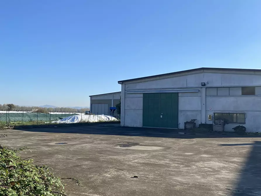 Immagine 3 di Capannone industriale in vendita  in Strada Provinciale 99 2 a Pancarana