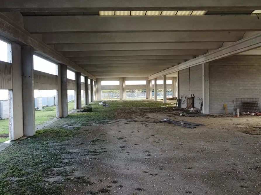 Immagine 4 di Capannone industriale in vendita  in Via del Commercio a San Martino In Strada