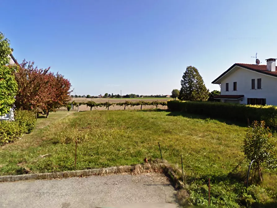 Immagine 1 di Terreno industriale in vendita  a Vescovana