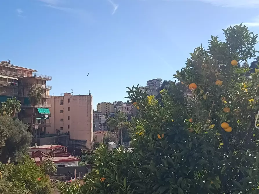 Immagine 21 di Bilocale in vendita  a San Remo