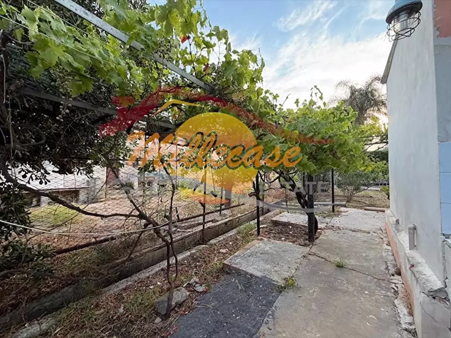 Immagine 21 di Villa in vendita  in Traversa Pozzo di Mazza a Siracusa
