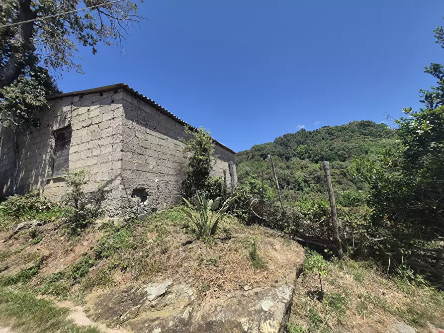 Immagine 17 di Casa indipendente in vendita  in Contrada San Filippo 7 a Pianopoli