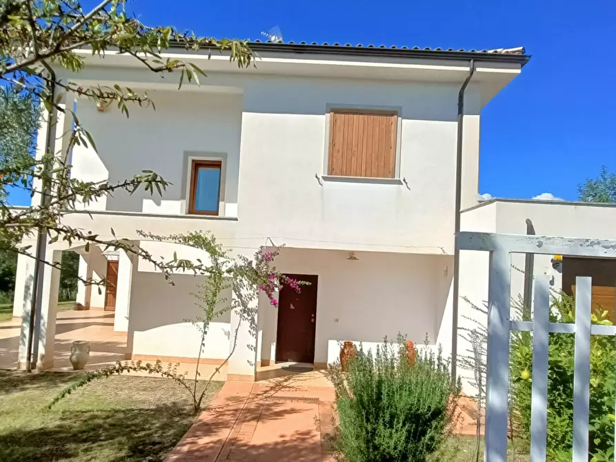 Immagine 3 di Villa in vendita  in SP79 a Feroleto Antico