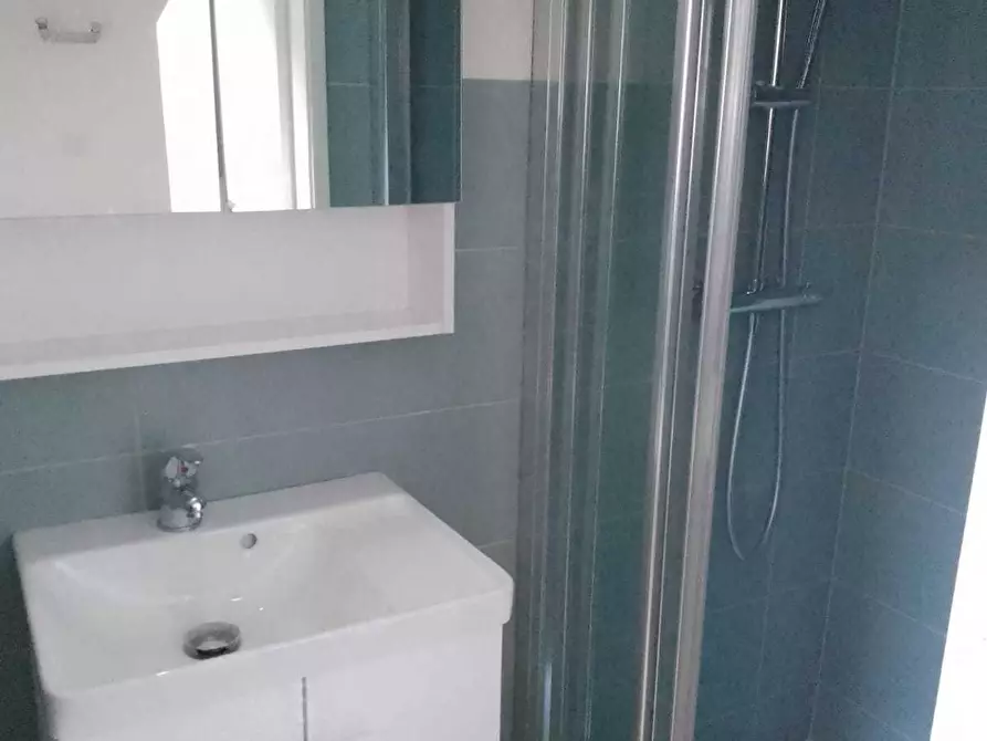 Immagine 9 di Monolocale in affitto  in CORSO CASALE 66BIS a Torino