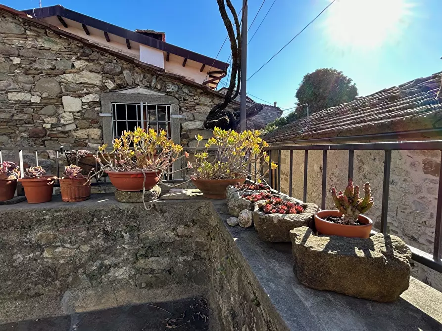 Immagine 50 di Terratetto in vendita  in Località Luscignano 18 a Casola In Lunigiana