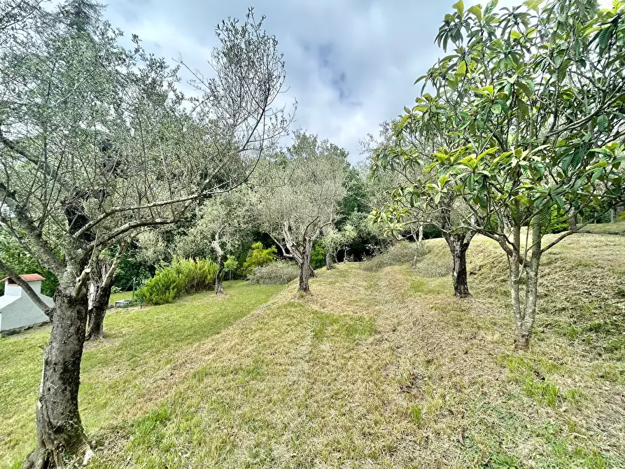 Immagine 40 di Casa indipendente in vendita  a Castelnuovo Magra