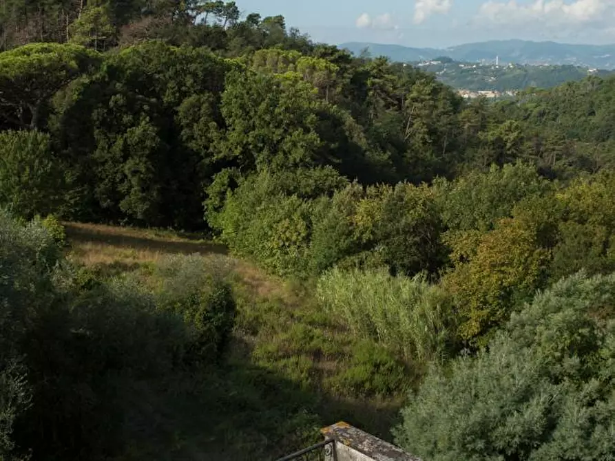 Immagine 31 di Villa in vendita  a Sarzana