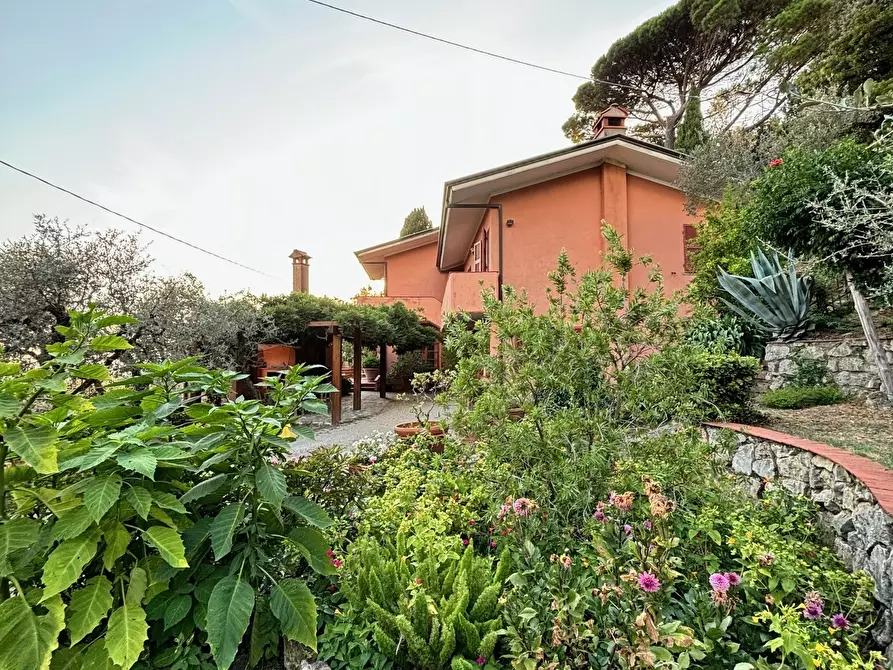 Immagine 6 di Villa in vendita  a Fosdinovo