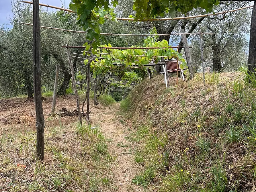 Immagine 24 di Terreno edificabile in vendita  a Arcola