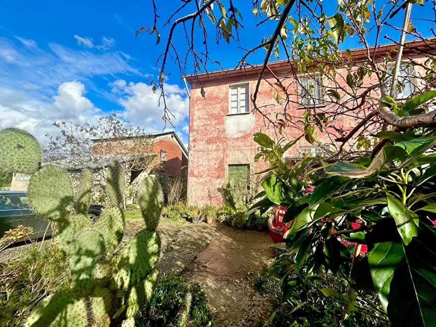 Immagine 4 di Rustico / casale in vendita  a Sarzana