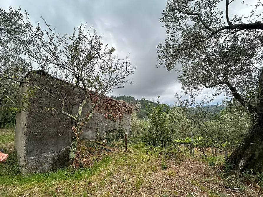 Immagine 12 di Terreno agricolo in vendita  a Arcola