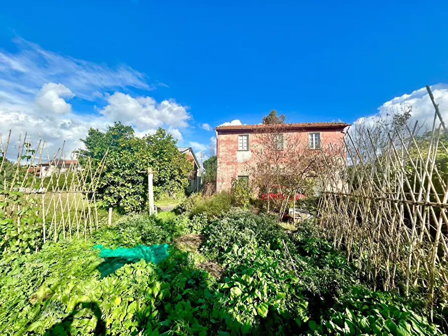 Immagine 16 di Rustico / casale in vendita  a Sarzana