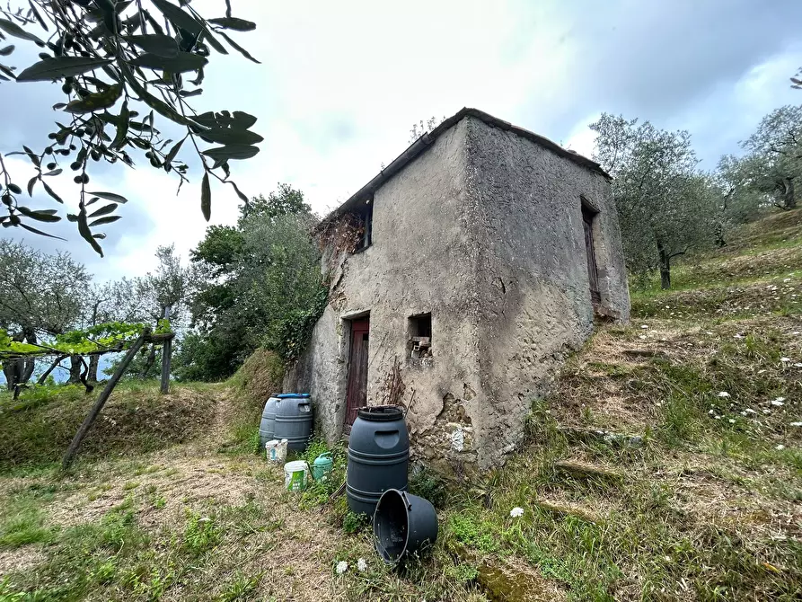 Immagine 3 di Terreno edificabile in vendita  a Arcola