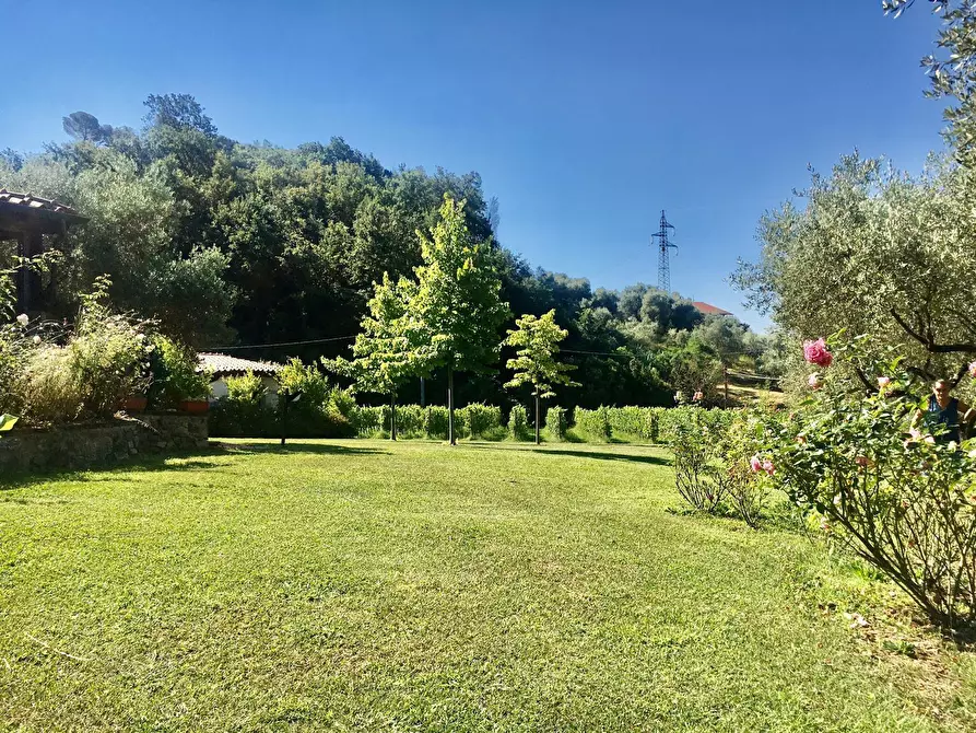 Immagine 21 di Agriturismo in vendita  a Castelnuovo Magra