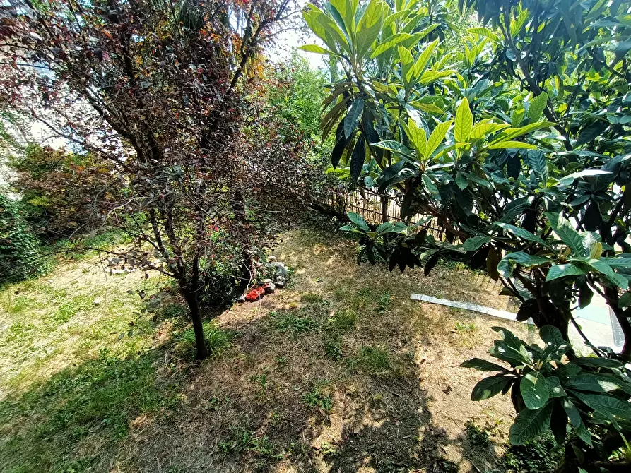 Immagine 7 di Casa indipendente in affitto  in Via Creta a Ziano Piacentino