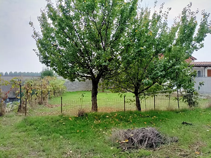 Immagine 10 di Rustico / casale in vendita  in Via Felice Cavallotti a Pieve Porto Morone
