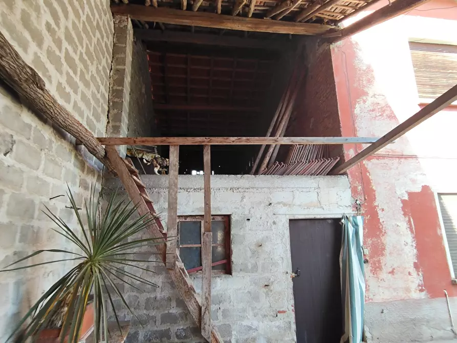 Immagine 7 di Casa indipendente in vendita  in Via Enrico Fermi 13 a Pieve Porto Morone