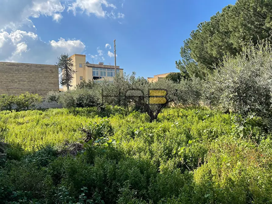 Immagine 4 di Terreno industriale in vendita  in Via Pilati a Trapani