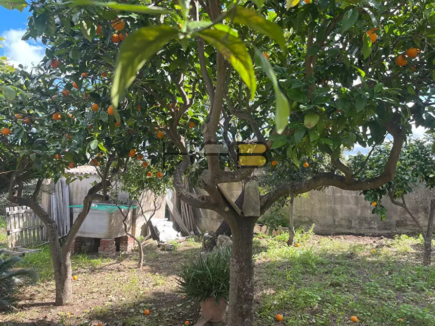 Immagine 14 di Casa indipendente in vendita  a Valderice
