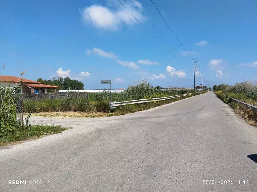 Immagine 6 di Terreno agricolo in vendita  in via bernardo tanucci a Eboli
