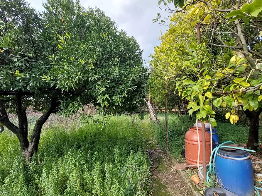 Immagine 6 di Terratetto in vendita  in Via Platani 8 a Giffoni Sei Casali