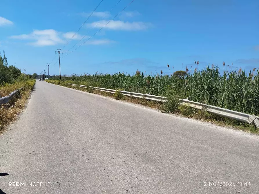 Immagine 15 di Terreno agricolo in vendita  in via bernardo tanucci a Eboli
