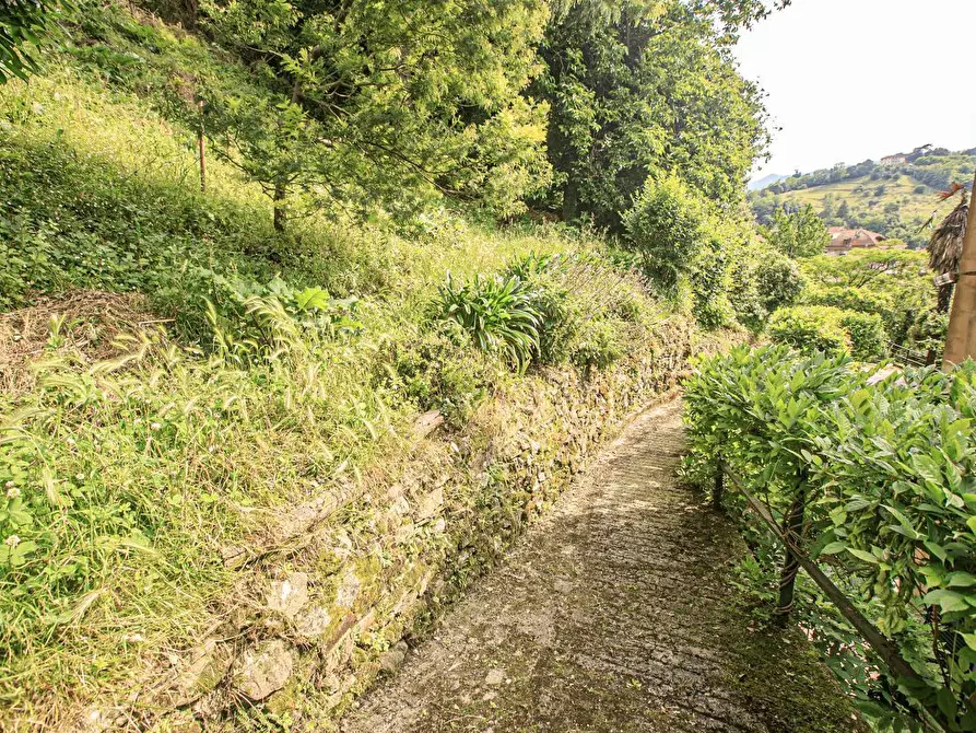 Immagine 45 di Bilocale in vendita  in Salita Castrofino a Genova