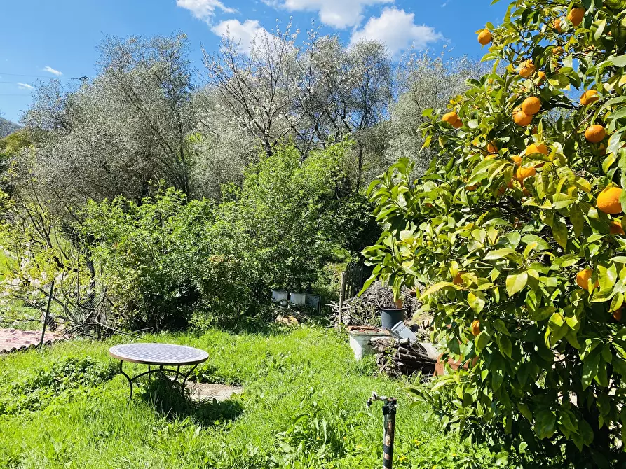 Immagine 30 di Trilocale in vendita  in Via Giovanni Aicardi a Genova