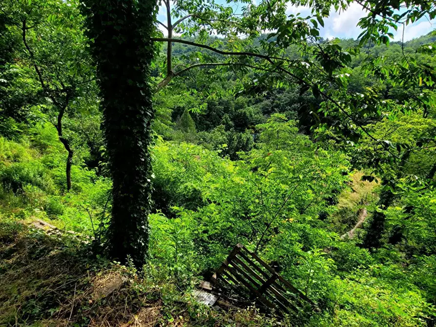Immagine 20 di Pentalocale in vendita  in Via Campi 7 a Serra Riccò