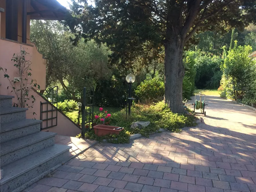 Immagine 4 di Appartamento in vendita  in Via Discesa del Valle snc a Monte Argentario