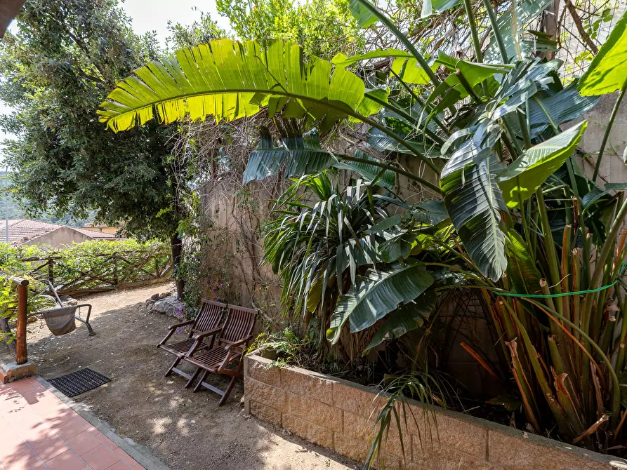 Immagine 18 di Casa semindipendente in vendita  in Strada Vicinale del Grottino 18 a Monte Argentario