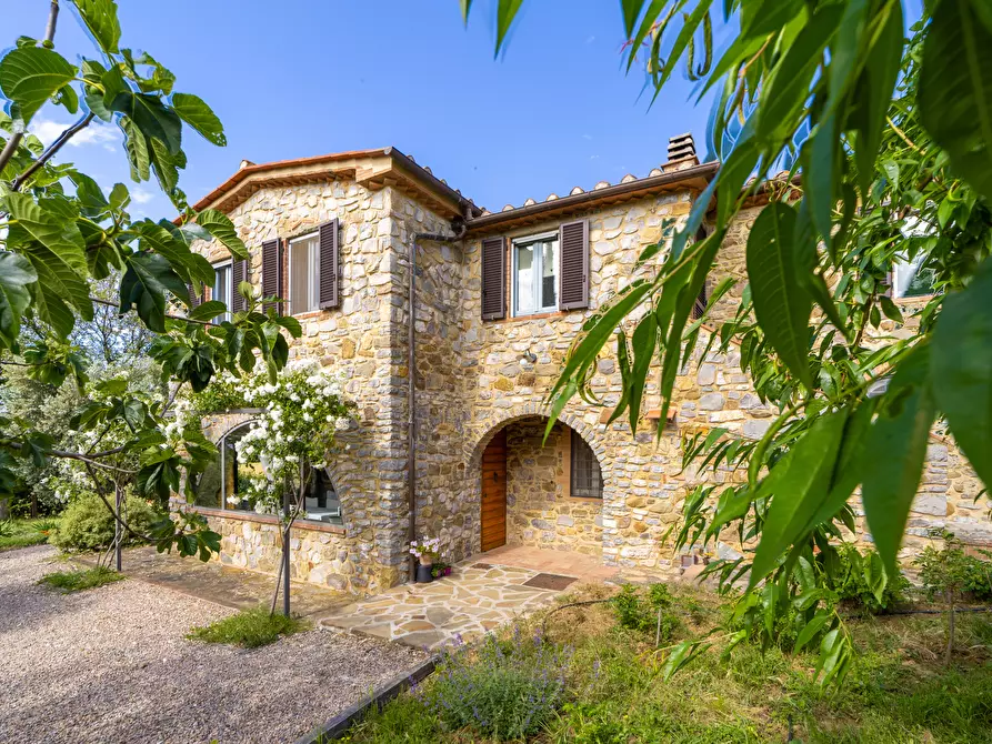 Immagine 6 di Rustico / casale in vendita  in vicolo dei fossi 2/C a Scansano