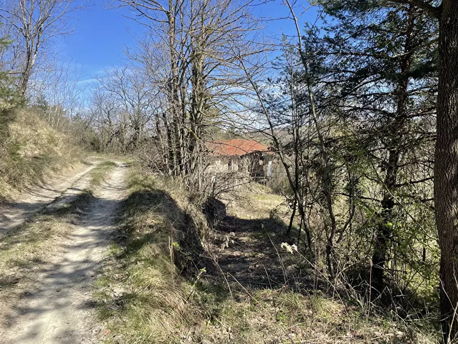 Immagine 1 di Rustico / casale in vendita  in frazione luzzi a Bossolasco