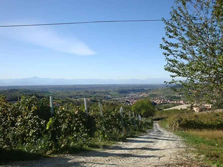 Immagine 11 di Casa indipendente in vendita  in Borgata Pamparato 29 a Dogliani