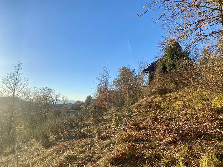 Immagine 5 di Terreno agricolo in vendita  in SP115 15 a Marsaglia