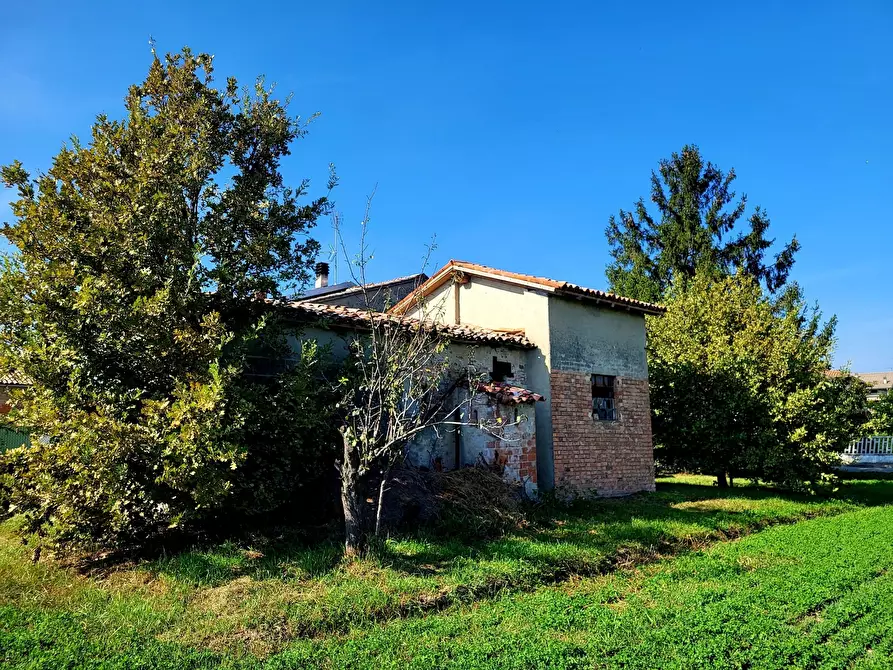 Immagine 4 di Terratetto in vendita  in Via Ponticella 2 a Sissa Trecasali