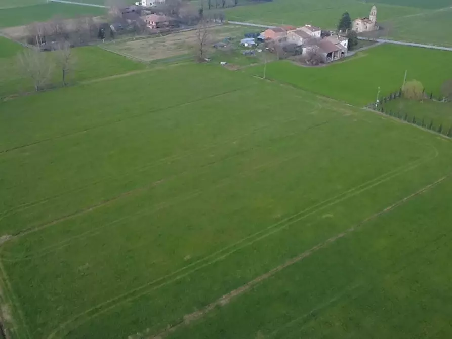 Immagine 3 di Terreno agricolo in vendita  a San Secondo Parmense