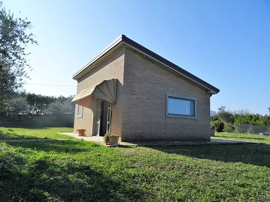 Immagine 3 di Terreno agricolo in vendita  a Senigallia