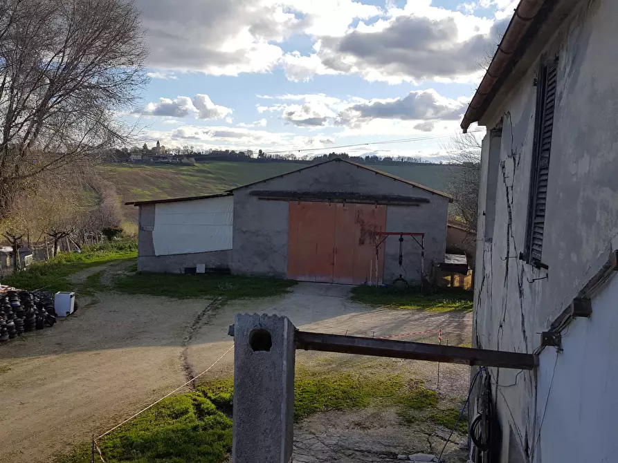 Immagine 11 di Rustico / casale in vendita  a Senigallia