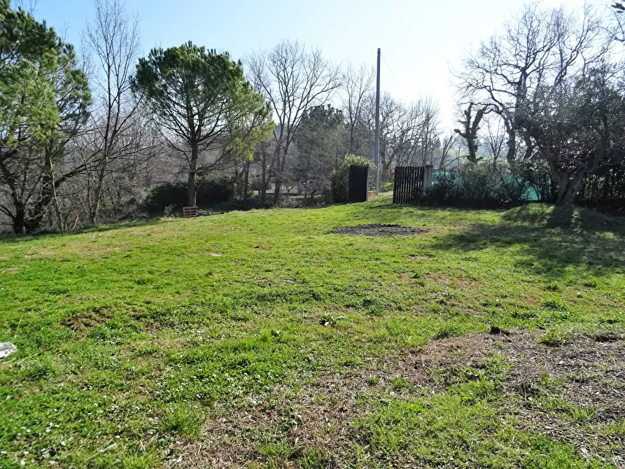 Immagine 21 di Terreno agricolo in vendita  a Senigallia