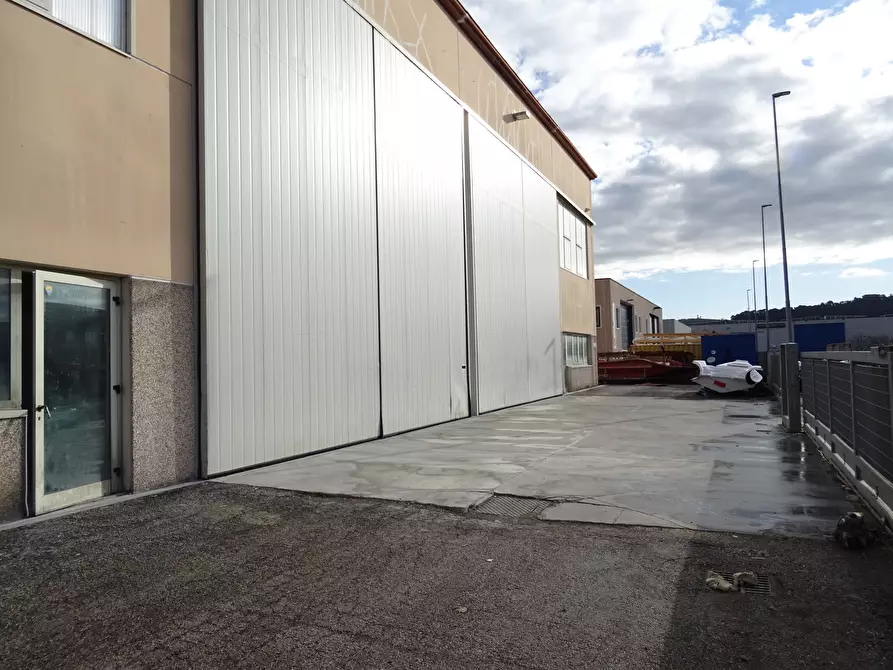 Immagine 4 di Attività artigianale in vendita  a Trecastelli