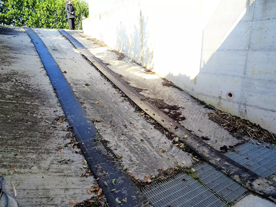 Immagine 6 di Terreno agricolo in vendita  a Senigallia