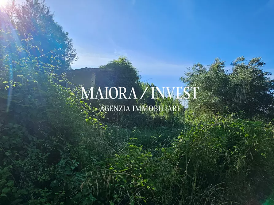 Immagine 8 di Terreno agricolo in vendita  in Contrada Pianelle a Monsampolo Del Tronto