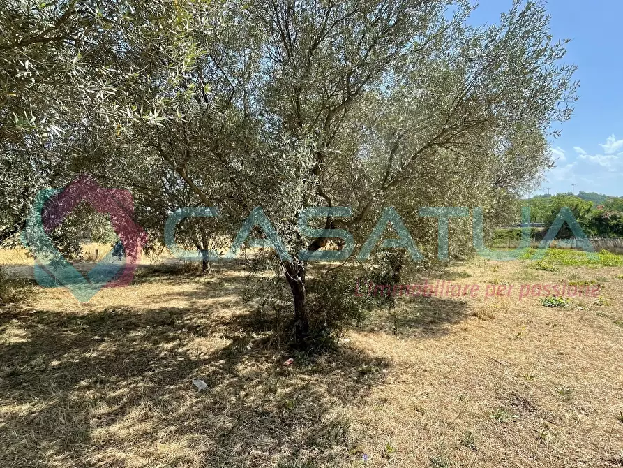 Immagine 5 di Terreno agricolo in vendita  in Contrada Piomba 22 a Silvi