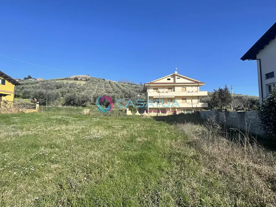 Immagine 16 di Terreno agricolo in vendita  a Silvi