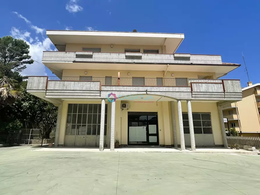 Immagine 51 di Attico in vendita  a Pineto