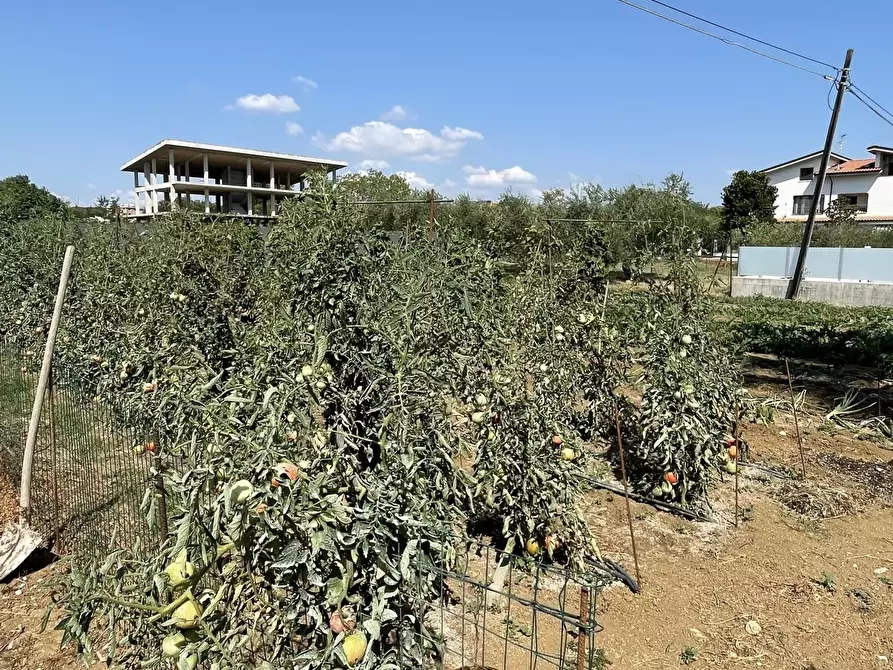 Immagine 6 di Terreno industriale in vendita  a Città Sant'angelo