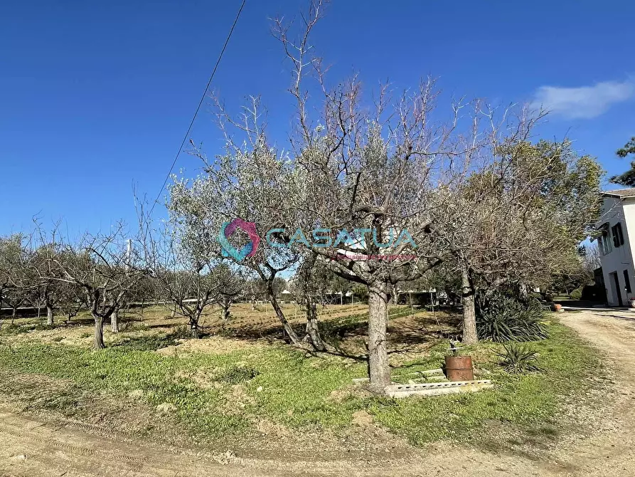 Immagine 45 di Rustico / casale in vendita  a Loreto Aprutino